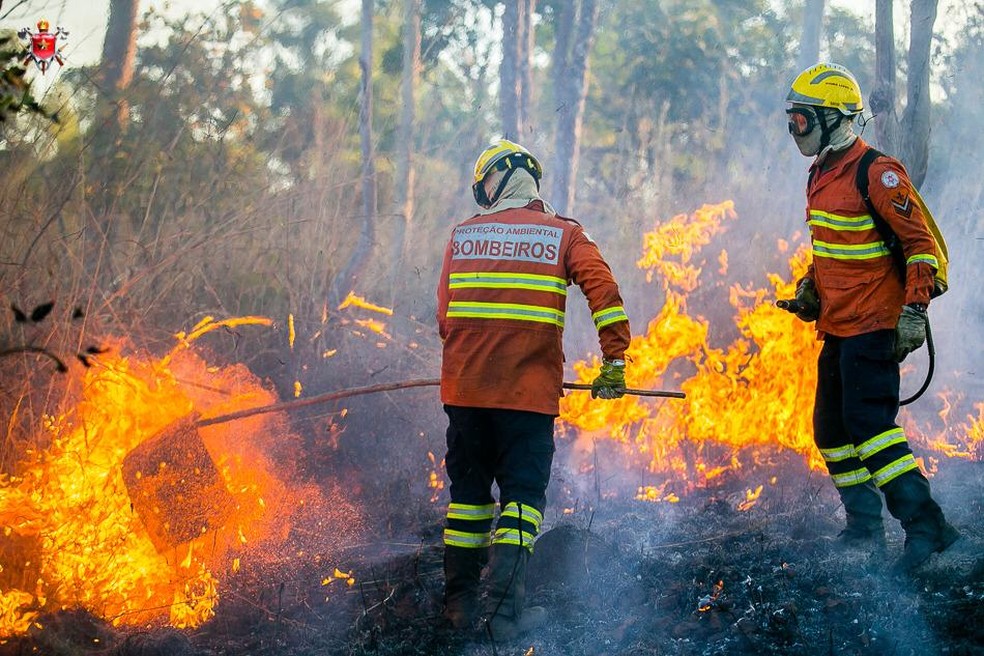 Bombeiros combatem inc&ecirc;ndio em uma &aacute;rea de Cerrado, no DF. &mdash; Foto: Corpo de Bombeiros do DF/ Divulga&ccedil;&atilde;o