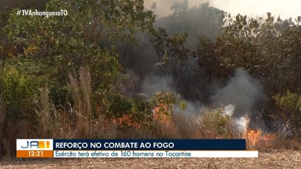 Tocantins terá o reforço de 160 militares do Exército no combate a incêndios florestais