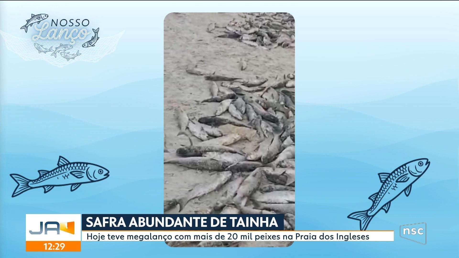 VÍDEOS: Jornal do Almoço Florianópolis de quarta-feira, 3 de junho de 2026