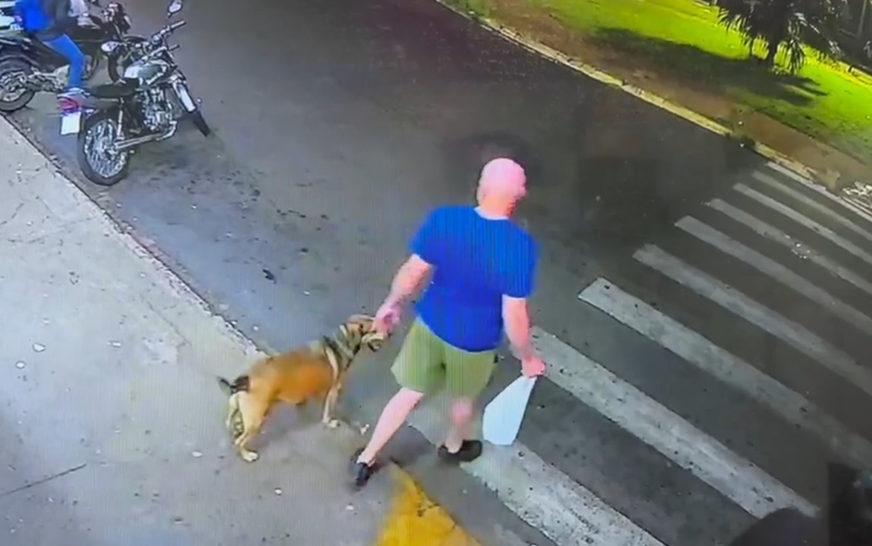 Motociclista atropela cachorro e deixa local sem prestar socorro em Batatais, SP; VÍDEO