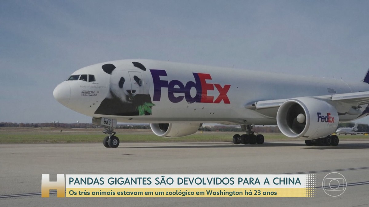 Pandas gigantes que estavam nos Estados Unidos são devolvidos para a China após 23 anos