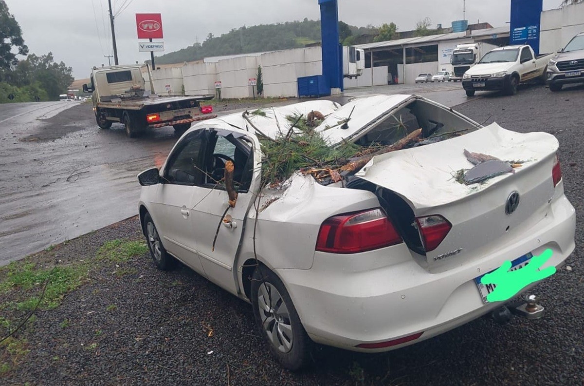 Carro em movimento é atingido por árvore durante vendaval na SC-355; VÍDEO mostra veículo destruído