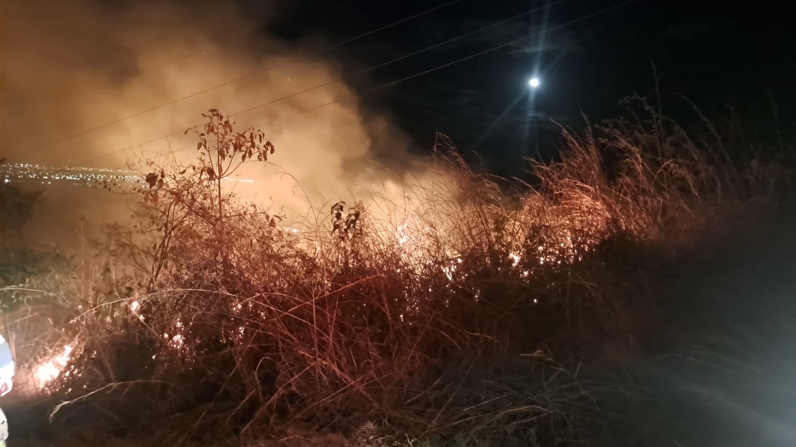 Vídeo: Incêndio destrói área de vegetação às margens da MGC-135, em Montes Claros; bombeiros apontam indícios de ação intencional
