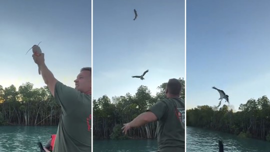 É #FATO: Vídeo mostra águia capturando bagre no ar após 'lançamento' de pescador na Austrália - Gravação teve mais de 1,5 milhões de visualizações nas redes sociais. Fato ou Fake conversou com o homem que arremessou o peixe e confirmou as circunstâncias do registro.