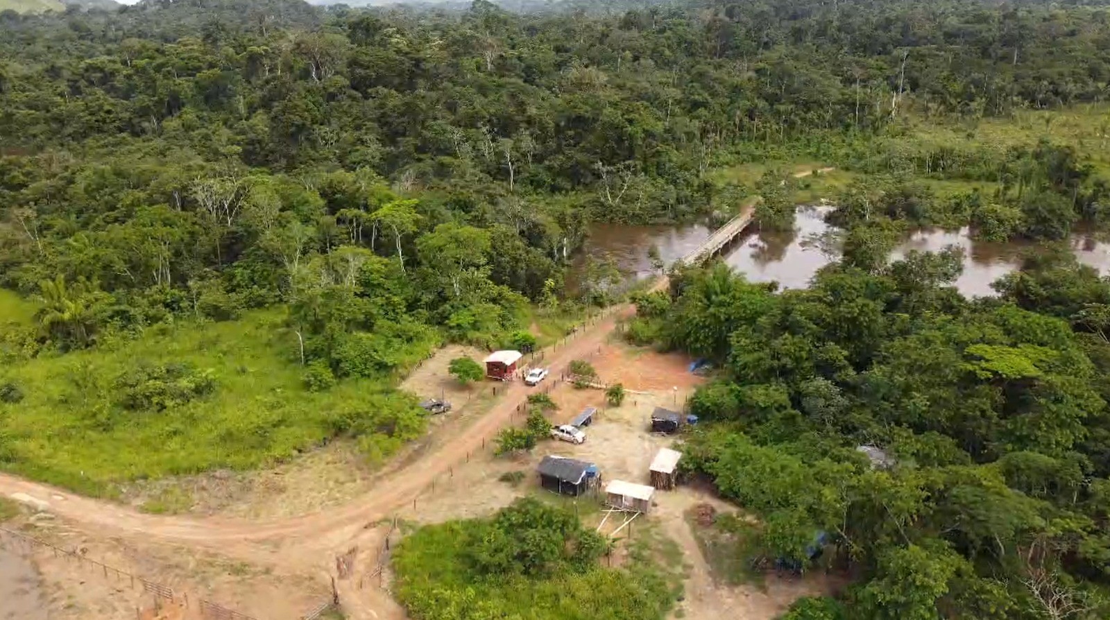 ICMBio faz plano de retirada voluntária de gado ilegal, com rastreabilidade, dentro de área conservação ambiental no Pará