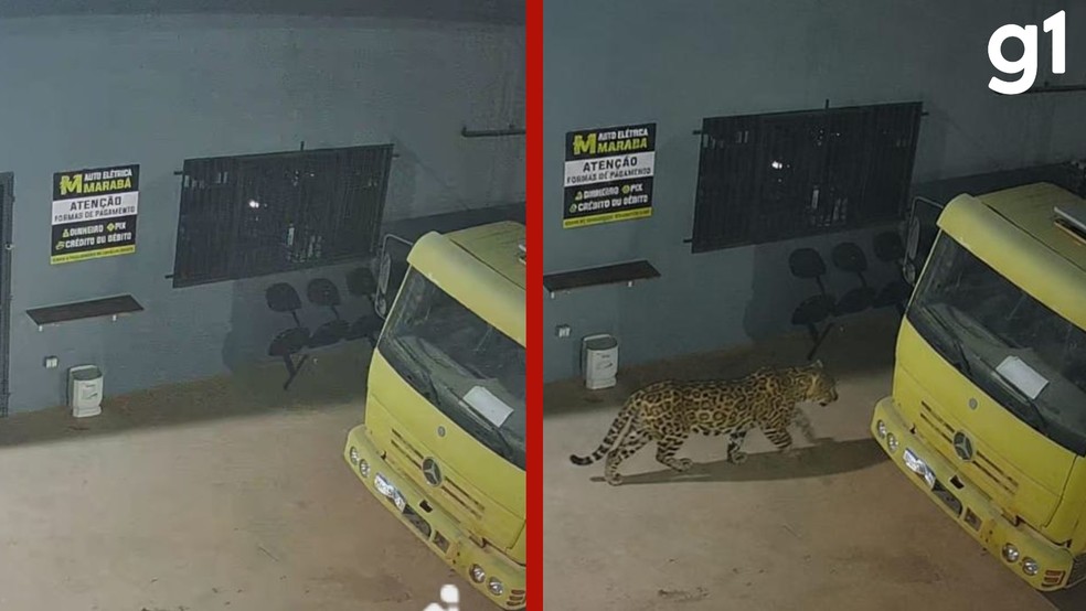 A montagem foi feita a partir de uma foto de um caminhão que estava parado no pátio da empresa durante a noite. — Foto: Reprodução