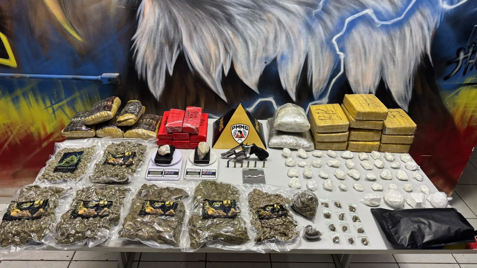 Mulher é presa com 25 barras de maconha e cheques de R$ 200 mil em Santana do Paraíso