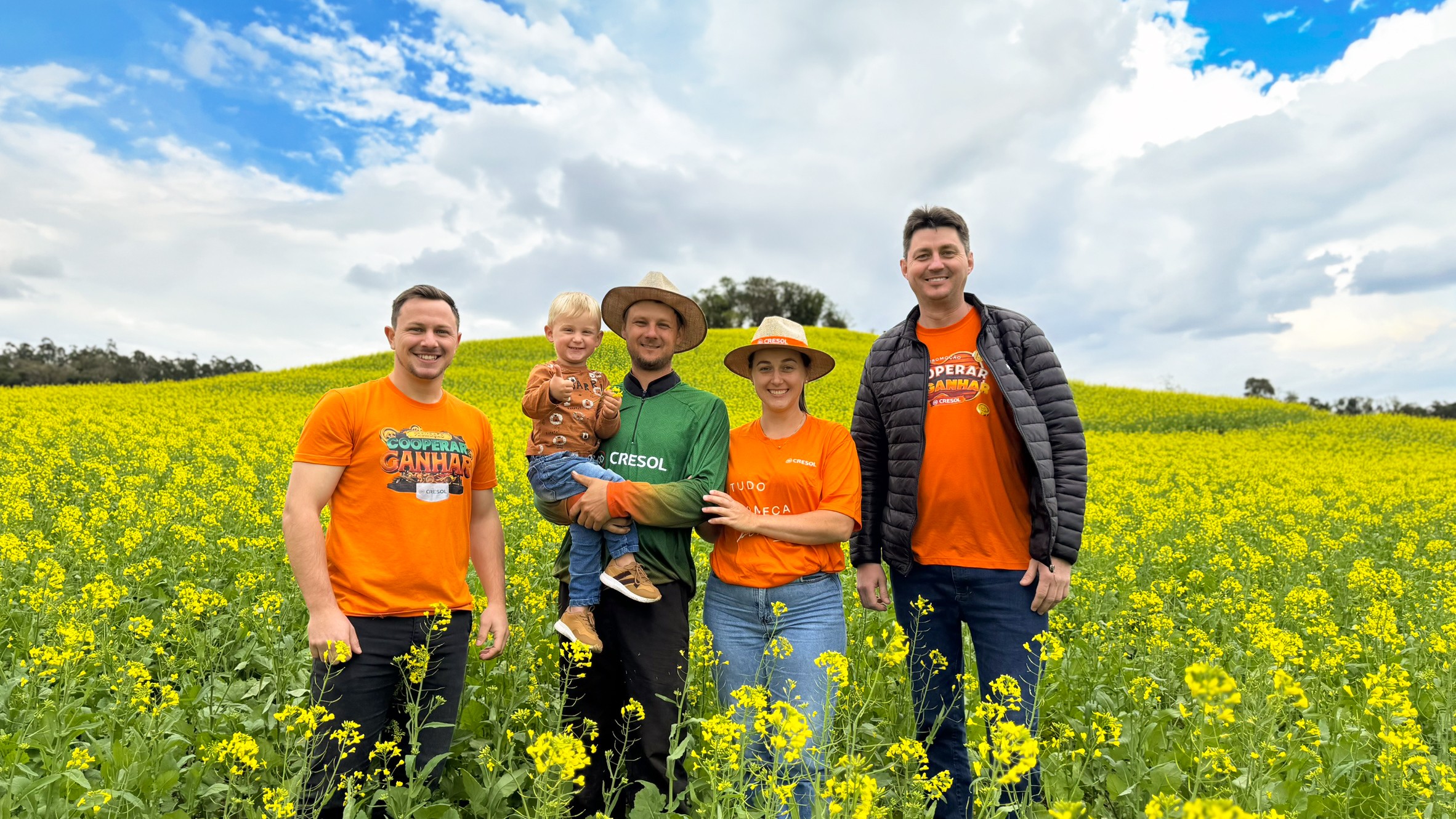 Plano Safra apoia cultivo de canola e amplia as alternativas de produção