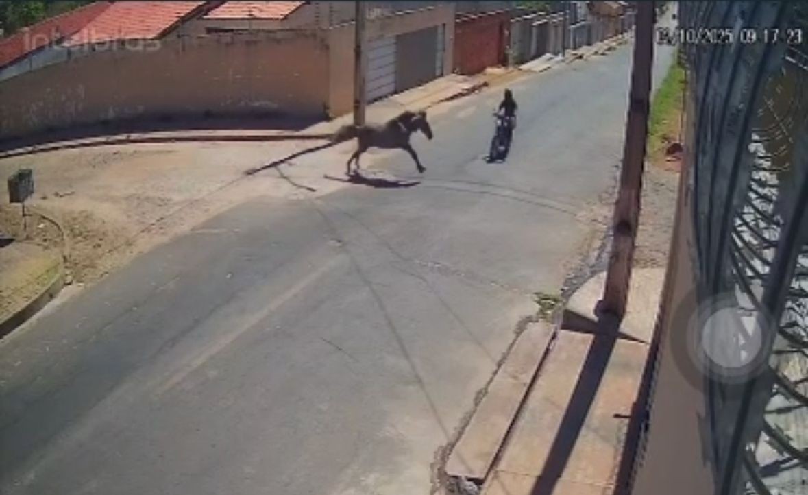 Vídeo: motociclista morre após colidir com cavalo em rua no Sul do Piauí 