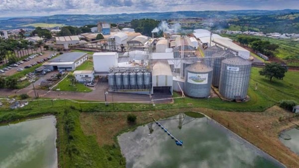 Coopatos cuida da qualidade do leite em todas as etapas de produção