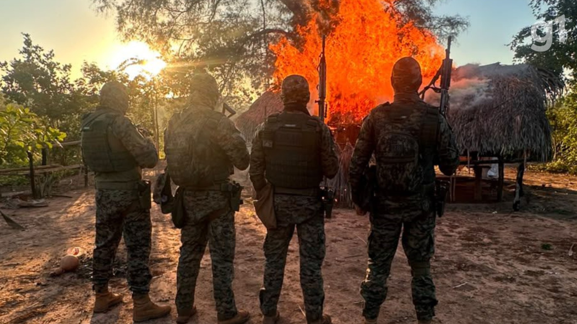 Polícia encontra roças de maconha e apreende estrutura de cultivo em Grajaú; suspeito morre em confronto