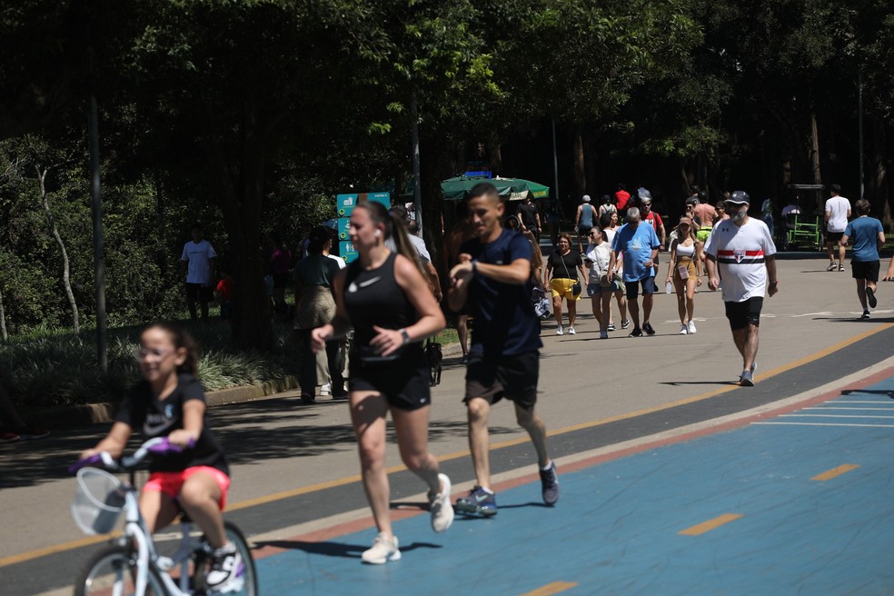 Movimento no Parque do Ibirapuera, em São Paulo, em março de 2024 — Foto: RENATO S. CERQUEIRA/ATO PRESS/ESTADÃO CONTEÚDO