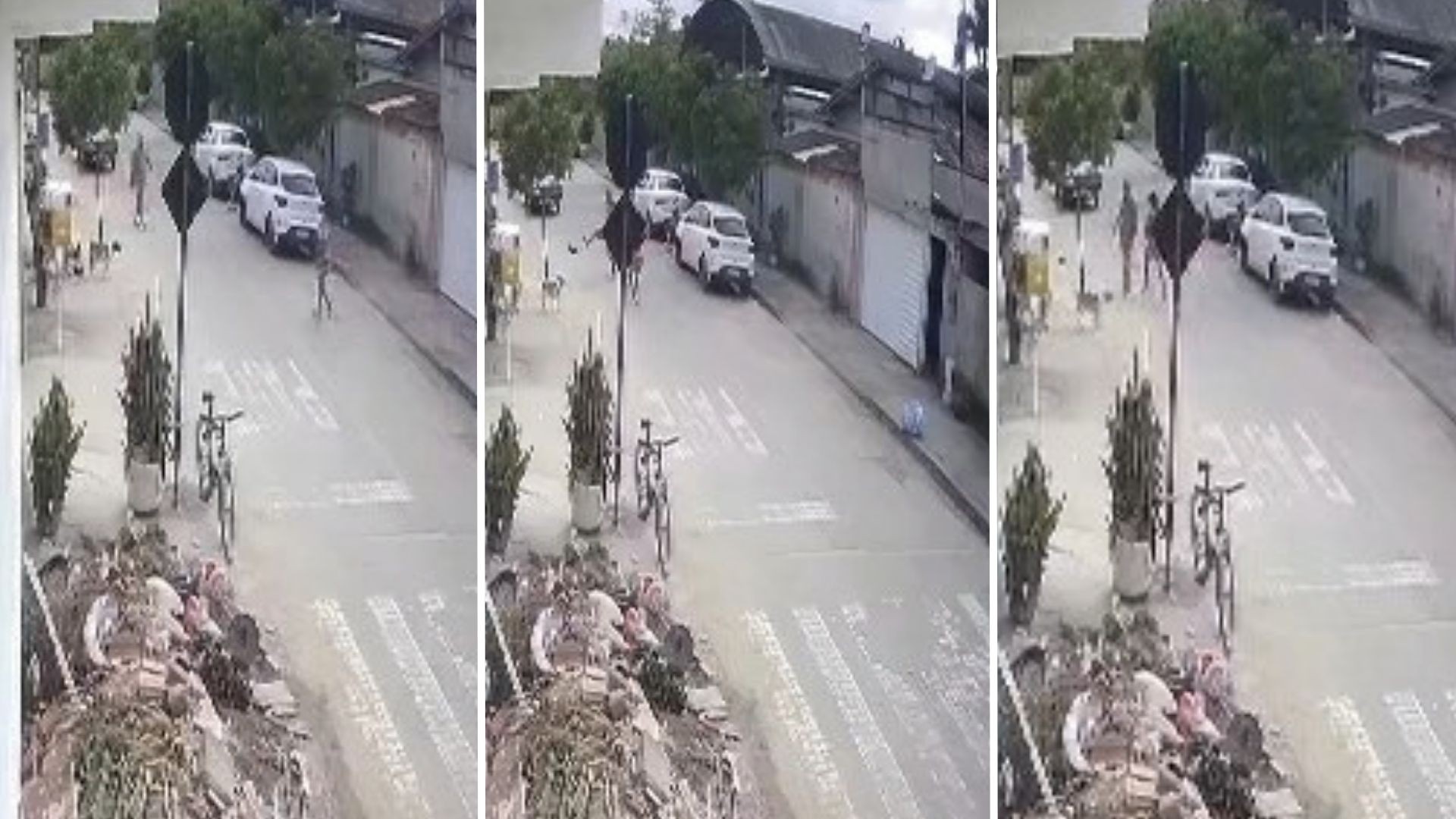 Pinscher morre após ser chutado por dono de oficina no meio da rua em Aracruz; VÍDEO