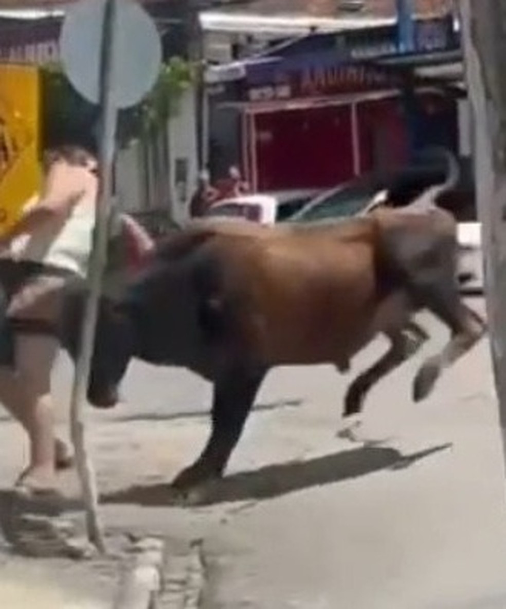 Boi acertou mulher no meio da rua em Satuba, AL — Foto: Reprodução/Vídeo