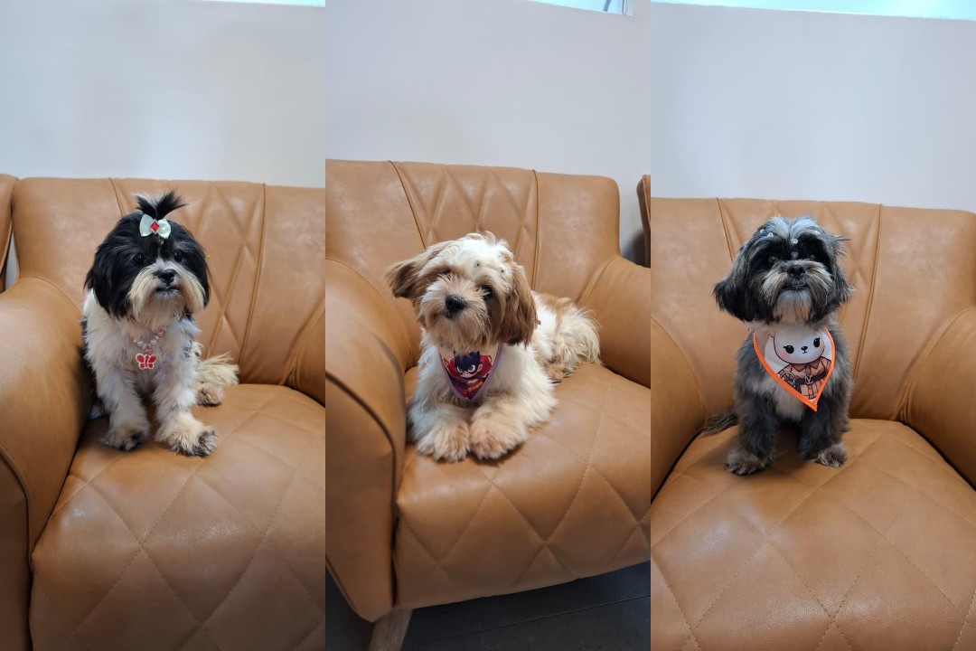 Você Não Tá Convidada pro Meu Bat Mitzvá!