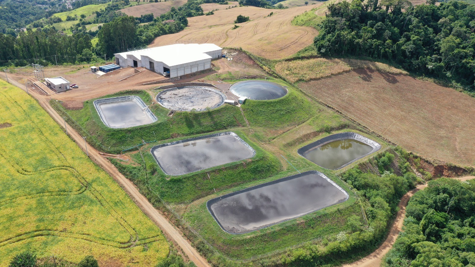 Grupo de produtores monta cooperativa para gerar energia com biogás