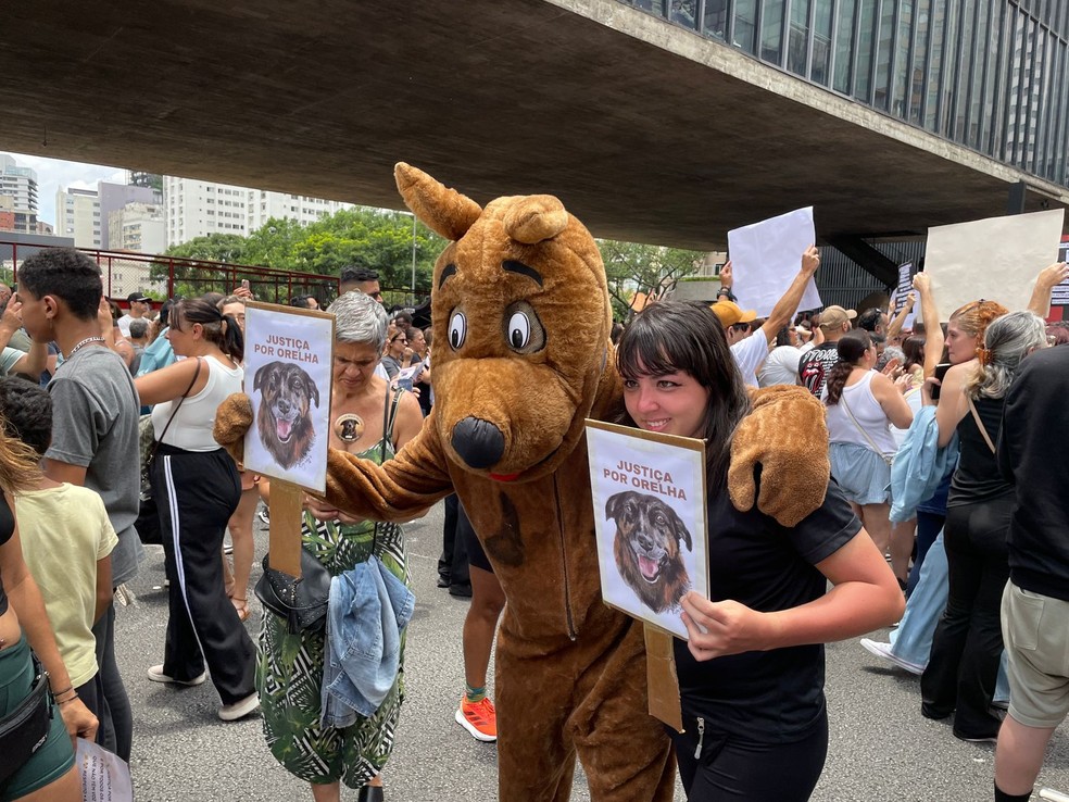 Ato na Avenida Paulista, em SP, neste domingo (1°), pede Justiça contra os agressores do cão Orelha, em Florianópolis, Santa Catarina. — Foto: Renata Bitar/g1