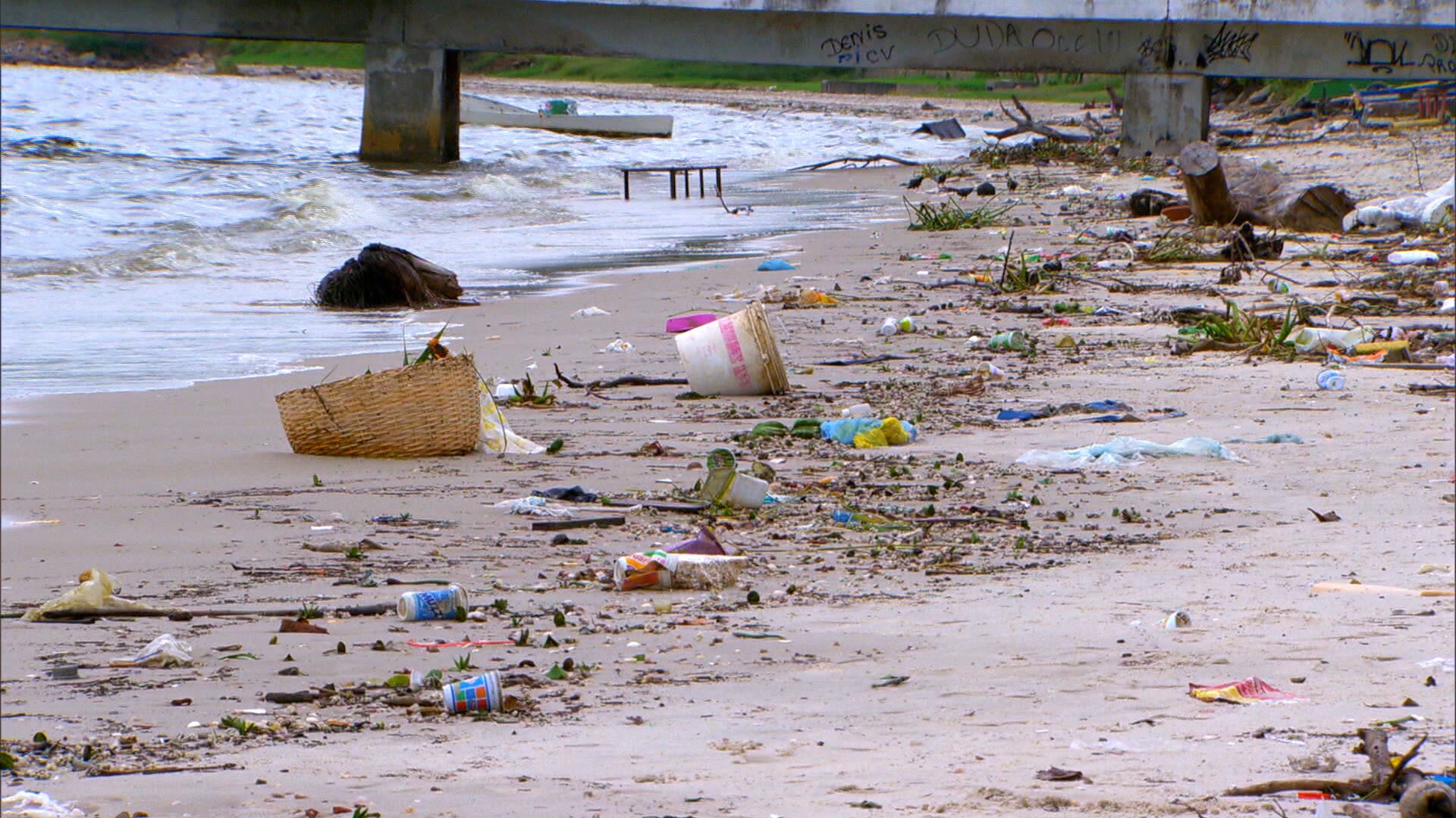 Aniversário de SP: Instituto Oceanográfico da USP atua na conservação marinha e 'leva' mar até quem não o conhece