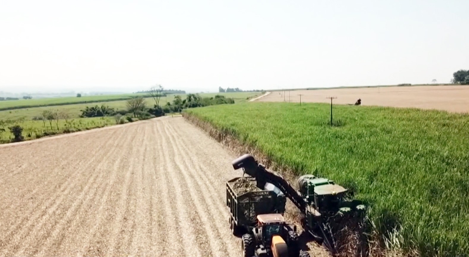 Etanol de cana: entenda os desafios e as oportunidades do 'ouro verde' brasileiro na transição energética