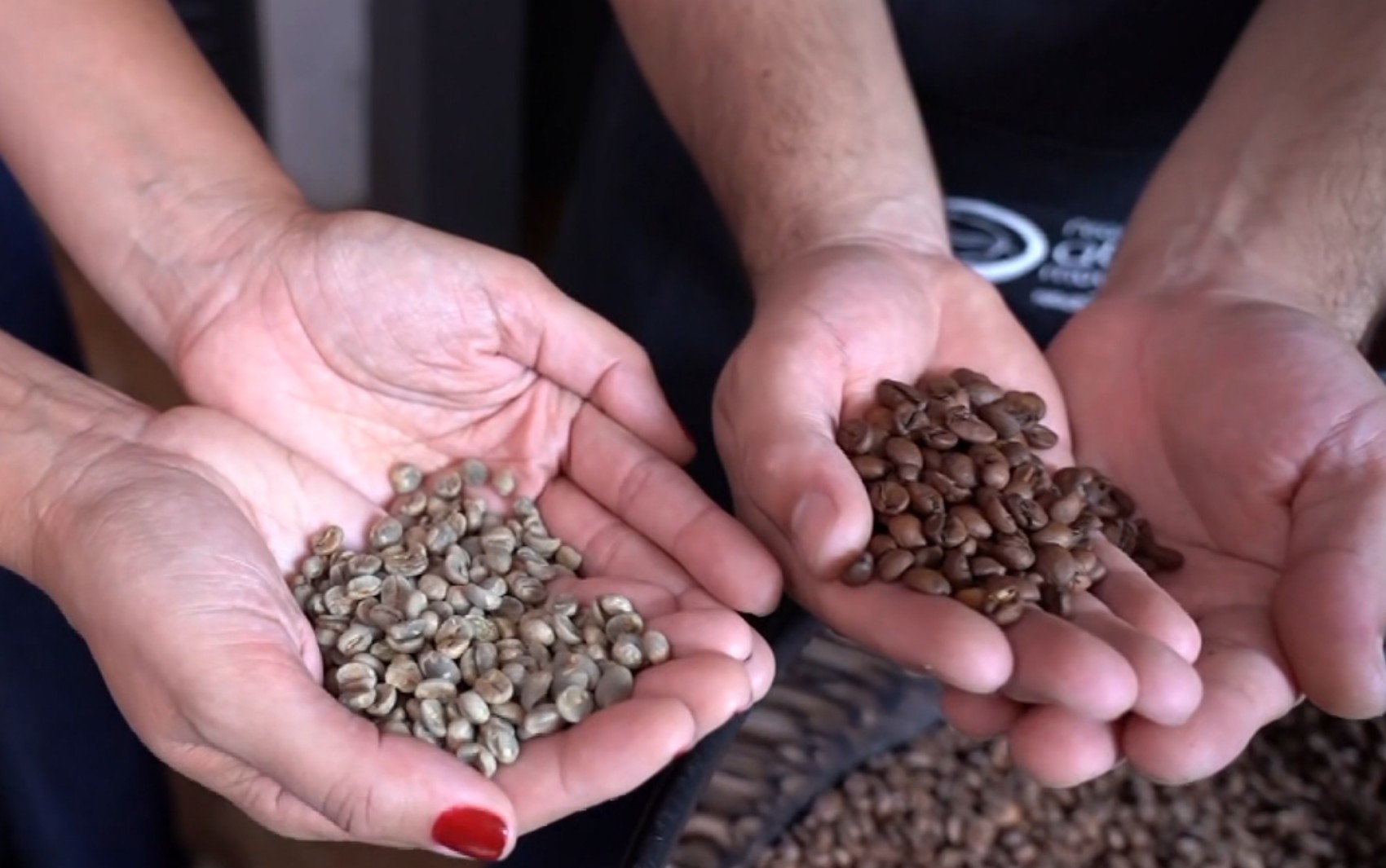 Da fumaça ao aroma: torrefação define sabor do café especial na reta final da produção