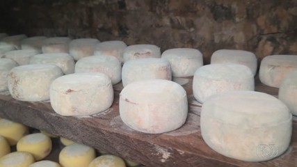 Confira uma caverna construída para a produção de queijos especiais