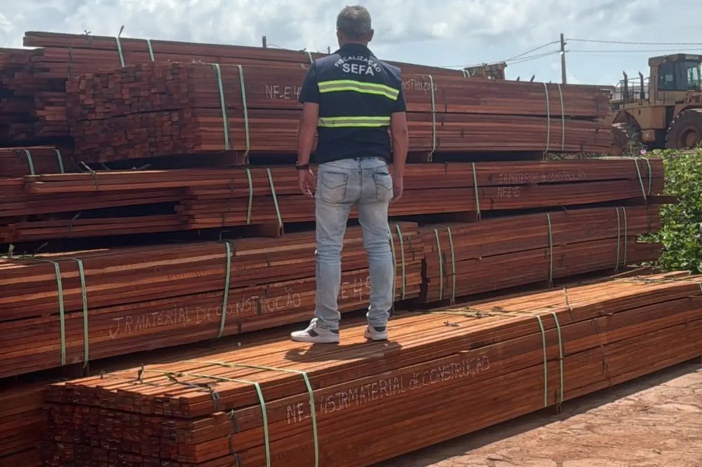 Sefa apreende 17,65 m³ de madeira em porto de Santarém