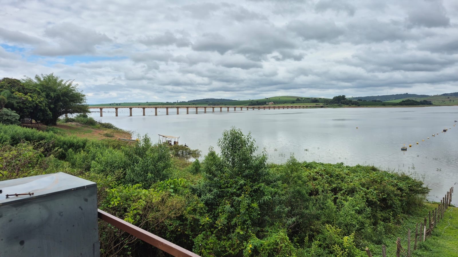 Piscicultura, espécies exóticas e poluentes alteram ecossistema do Lago de Furnas; veja os riscos à água e à fauna | G1