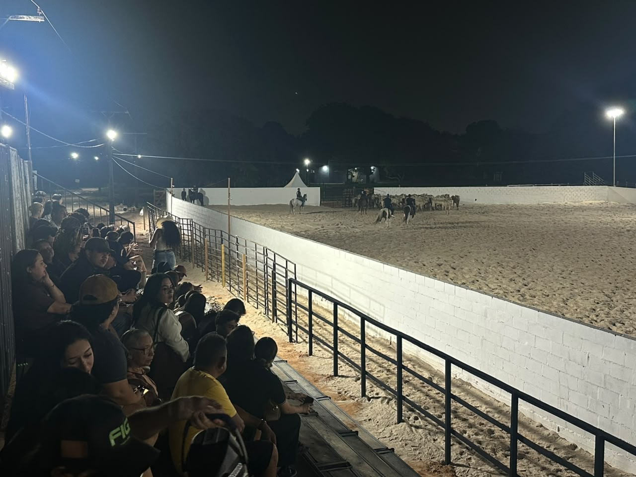 Atualização: Vaquejada Arena Nilton Lins reúne competidores de vários estados e movimenta primeiro dia de evento em Manaus