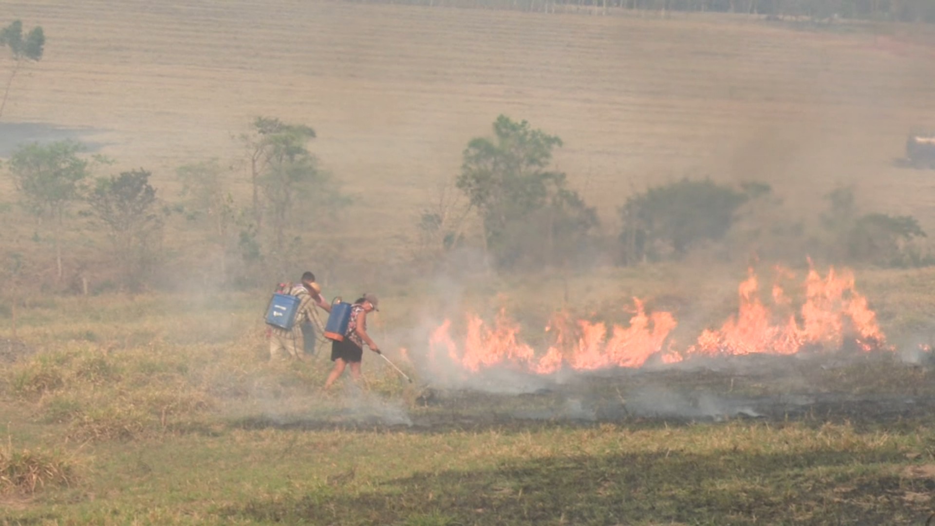 População ajuda a combater incêndio em vegetação de área rural do Paraná; IMAGENS