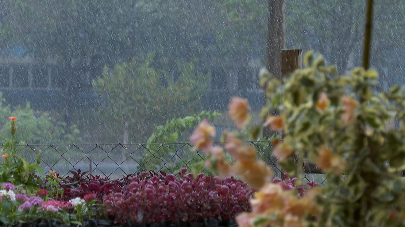 Primavera em Alagoas terá chuva dentro da média e aumento gradual da temperatura