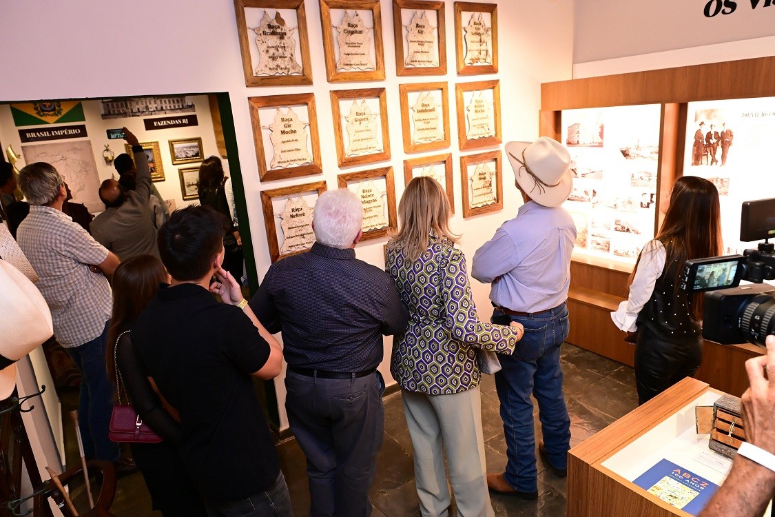 ExpoZebu: Museu do Zebu inaugura mostra “Zebu 200: raiz tropical, futuro global”