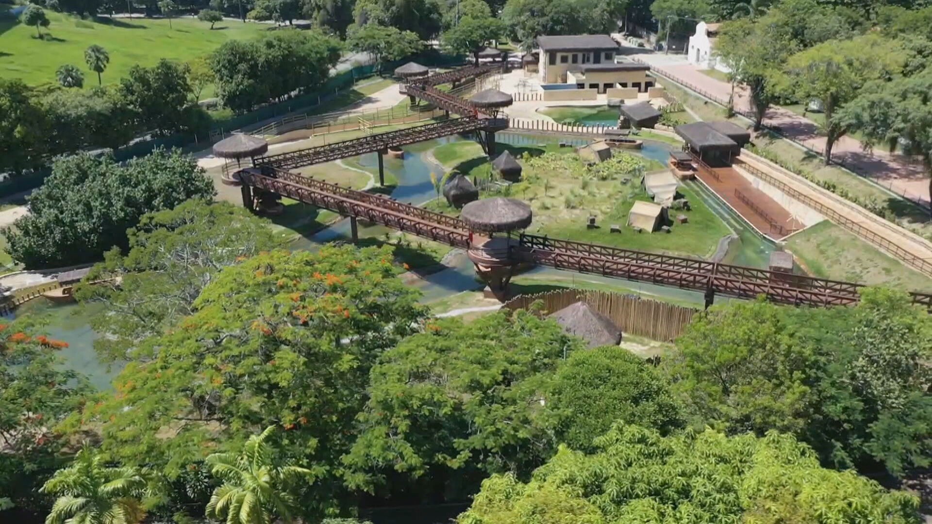 BioParque do Rio fecha temporariamente após morte de 9 aves