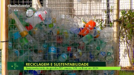 Mais Sustentável: reaproveitamento de garrafas PET ajuda o meio ambiente