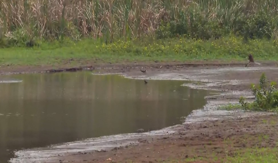 Araraquara decreta emergência por causa da seca prolongada e reservatórios zerados