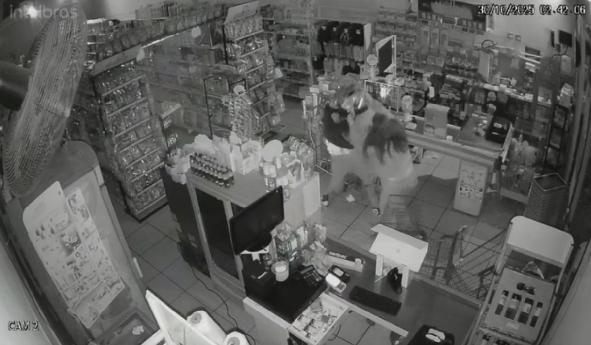 VÍDEO: dono de mercado reage a tentativa de roubo e esfaqueia suspeito no interior de SP