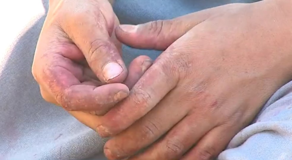 No Acre, 40% das crianças flagradas em trabalho infantil, cuidavam de gado — Foto: Reprodução/ EPTV