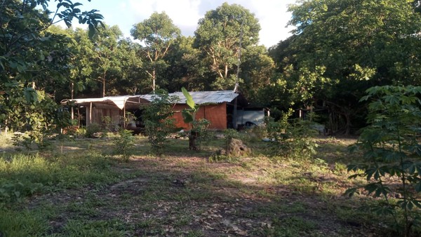 Ao todo, 86 famílias vivem na Comunidade São Domingo, área da Fazenda Boa Esperança em Babaçulândia — Foto: Nuamac Araguaína/ Divulgação