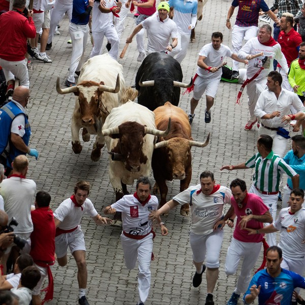 Quatro ficam feridos em corrida de touros no terceiro dia de festival em  Pamplona, Mundo