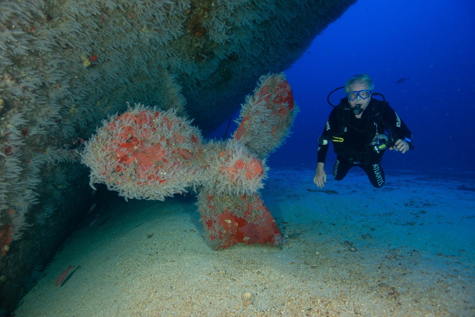 Francisco José celebra 80 anos com mergulho de mais de 60 metros de profundidade em Fernando de Noronha