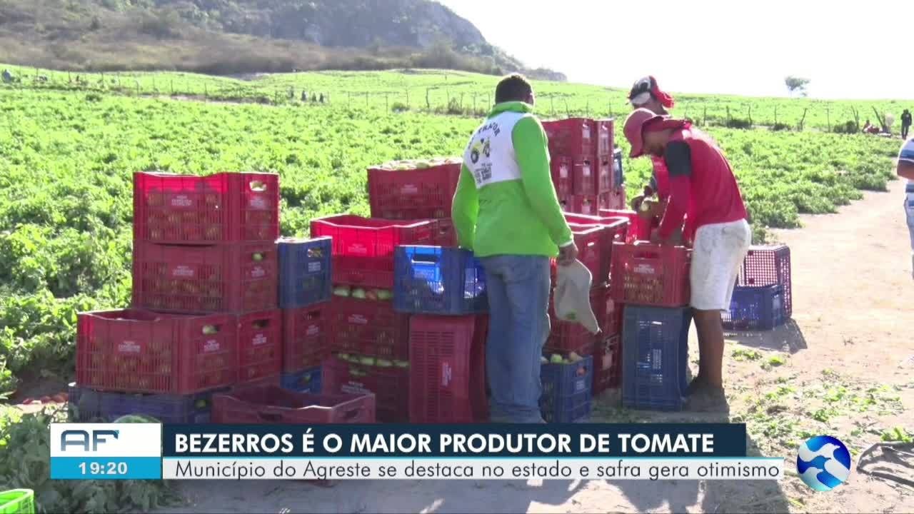 VÍDEOS: AB2 de quinta-feira, 28 de novembro de 2024