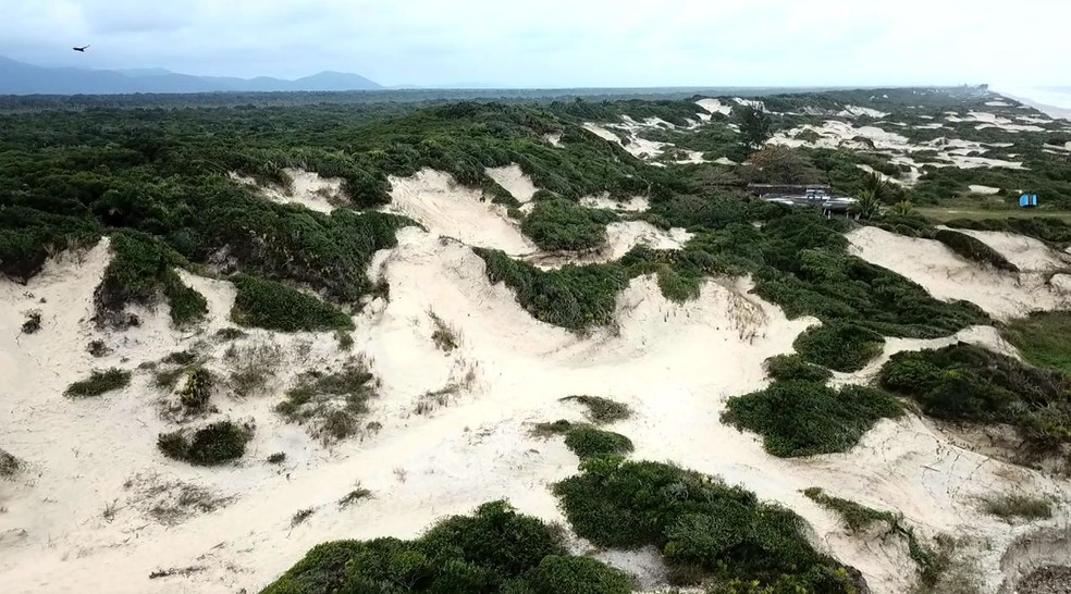 Dunas de Ilha Comprida