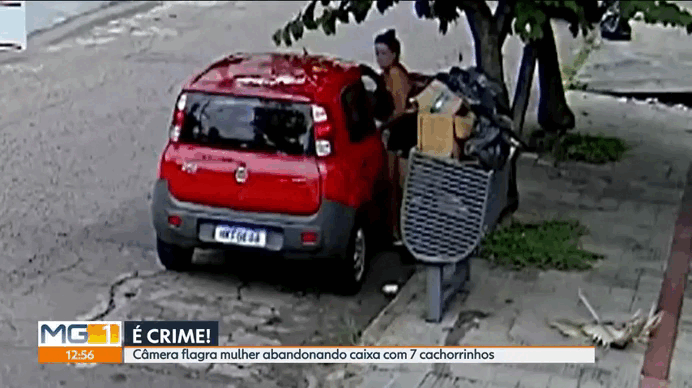Mulher é flagrada abandonando filhotes de cachorro na rua; VÍDEO