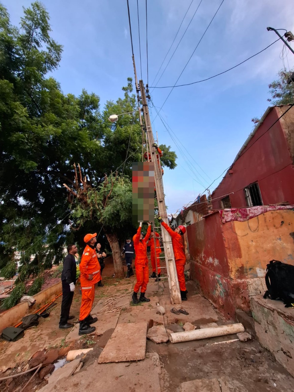 Homem de 43 anos morrer eletrocutado após tentar podar árvore em Picos, no Sul do Piauí — Foto: Reprodução