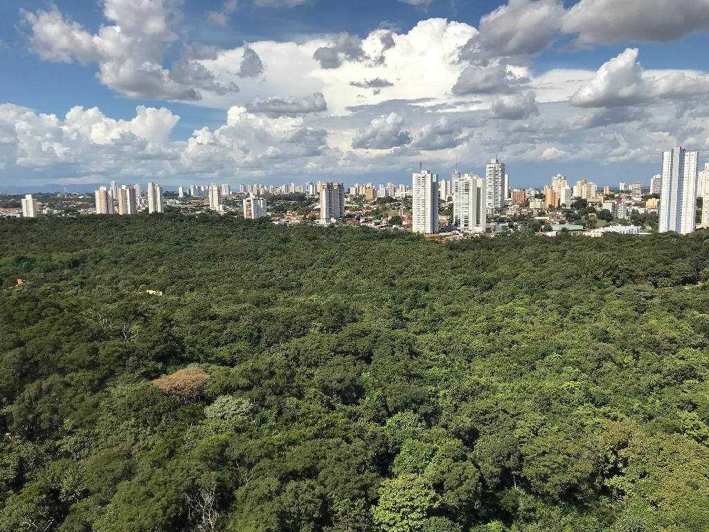 ALMT aprova projeto que prevê criação de plano estadual de arborização urbana em Cuiabá