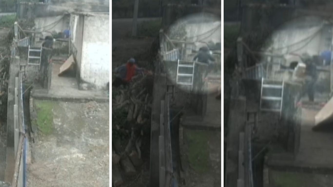 Criminosos usam galhos deixados na calçada para invadir e furtar oficina em Campinas