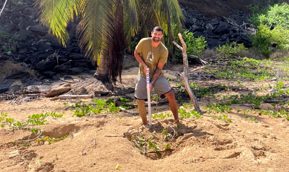 Começa temporada de reprodução das tartarugas em Fernando de Noronha