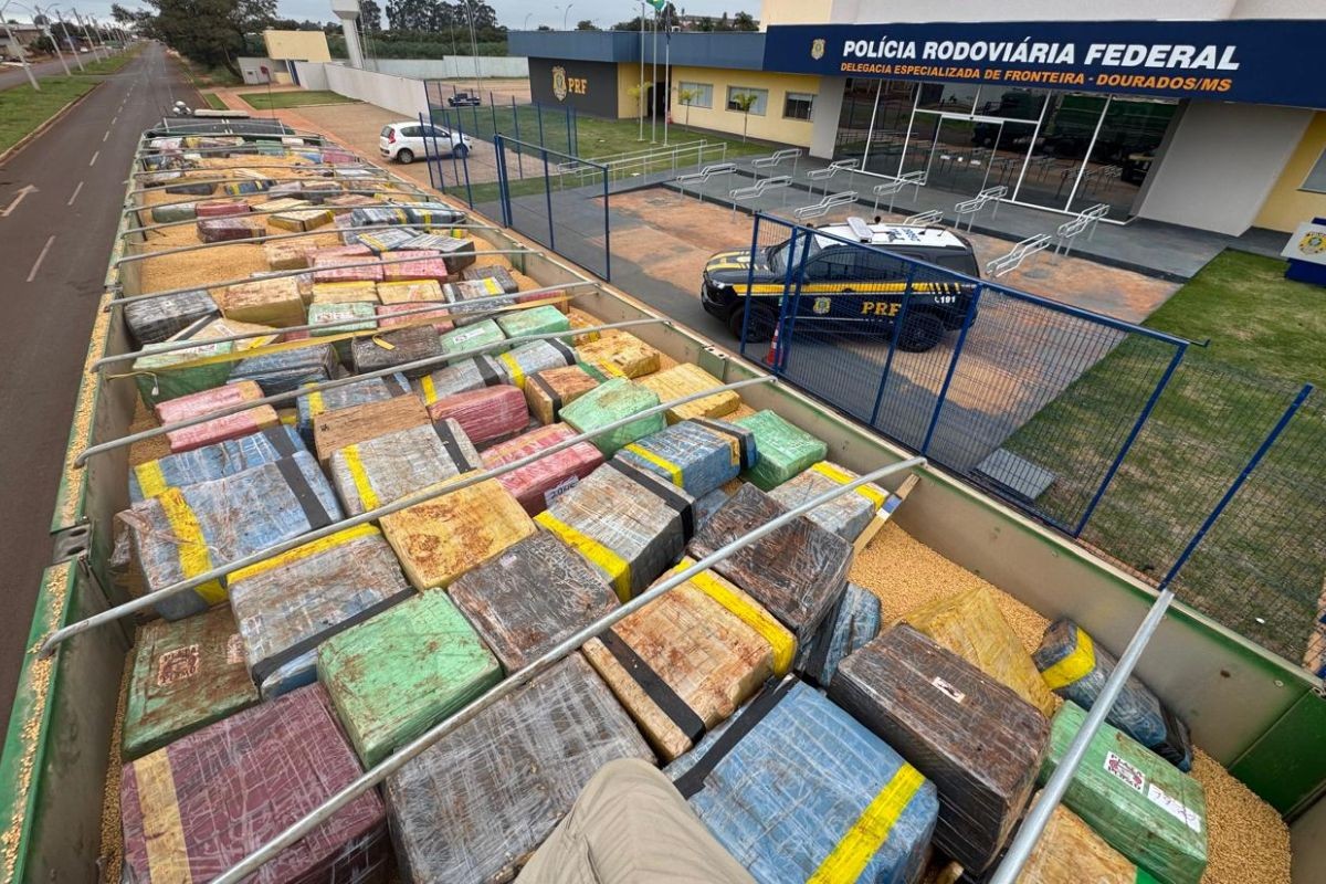 PRF apreende mais de 6 toneladas de maconha escondidas em carga de soja e prende motorista em MS