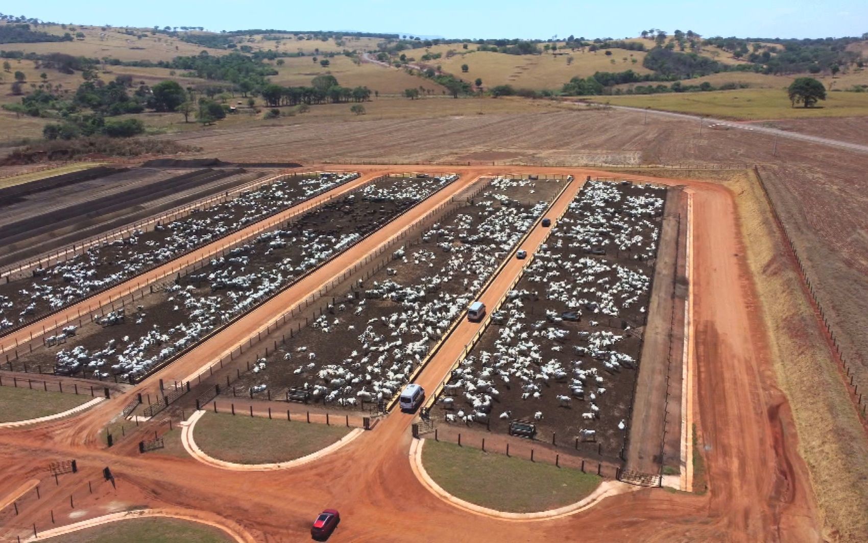 Você Não Tá Convidada pro Meu Bat Mitzvá!