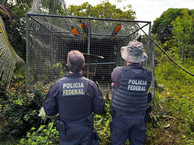 Polícia Federal cumpre mandados de prisão contra organização criminosa especializada em tráfico de animais ameaçados de extinção