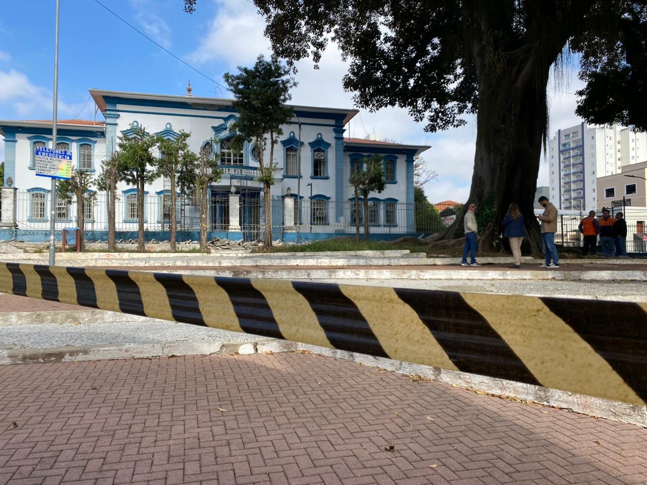 Prefeitura inicia corte de árvore gigante que pegou fogo na Praça do Fórum, em Taubaté